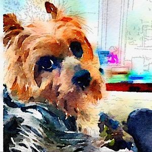 Meet your Posher, Sherry